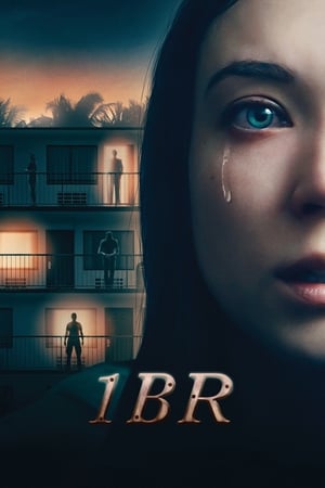 1BR (2019) Hindi Dual Audio 480p BluRay 300MB