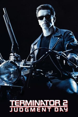 Terminator 2 (1991) Hindi Dual Audio 480p BluRay 500MB